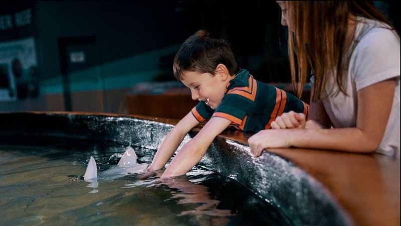 Living Shores Aquarium